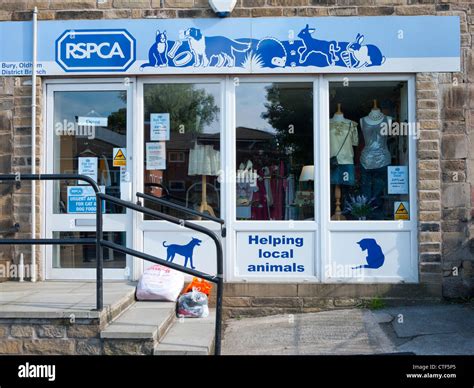 rspca online shop uk.